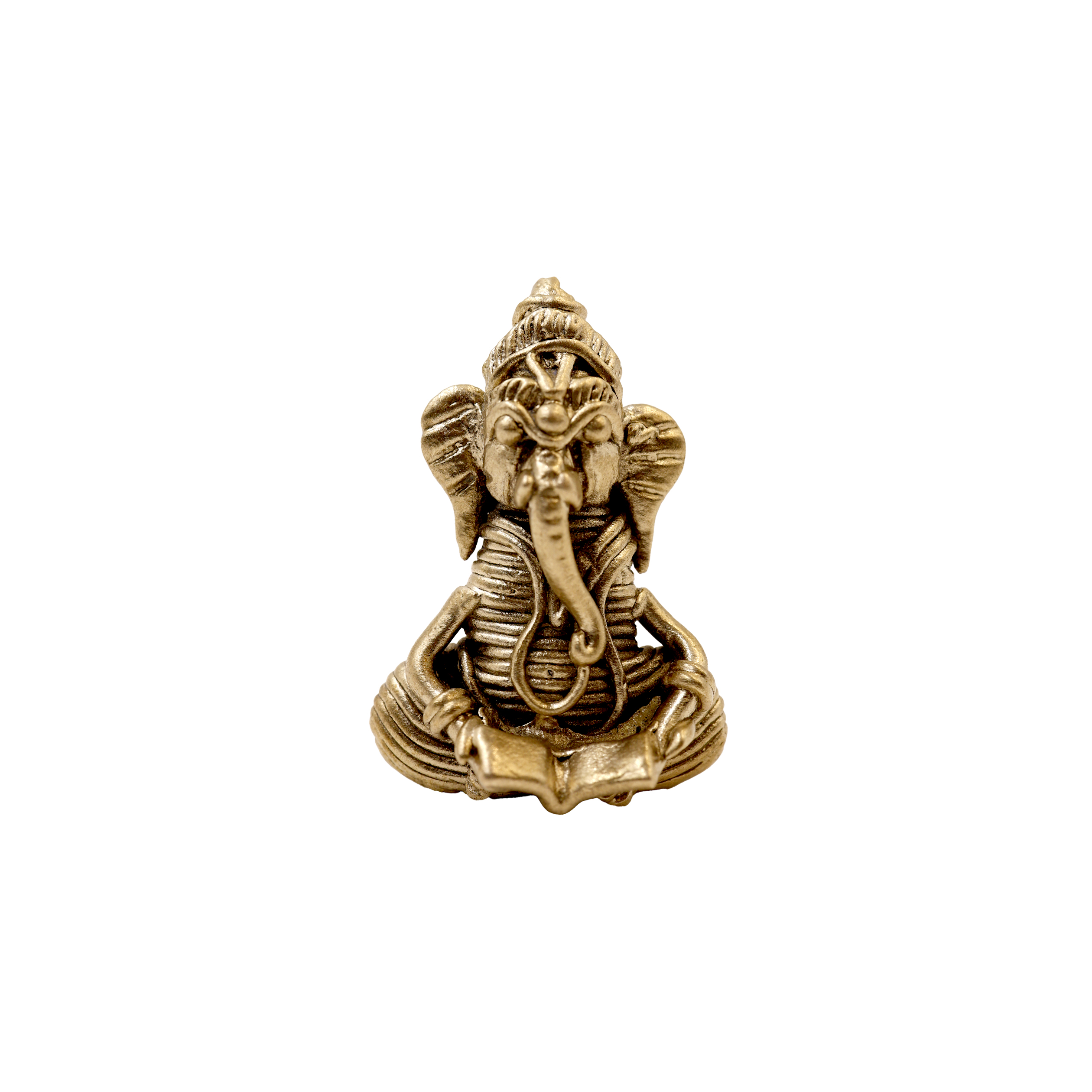Tiny Ganesh